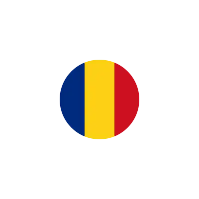 Steag România - Selectează Limba Română